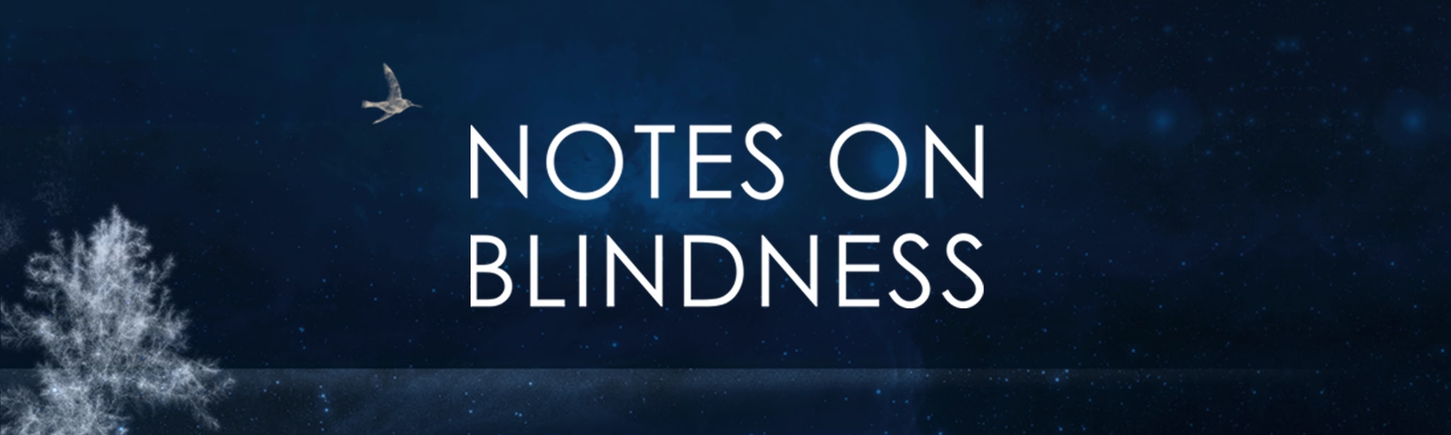 لقطات (6) NOTES ON BLINDNESS