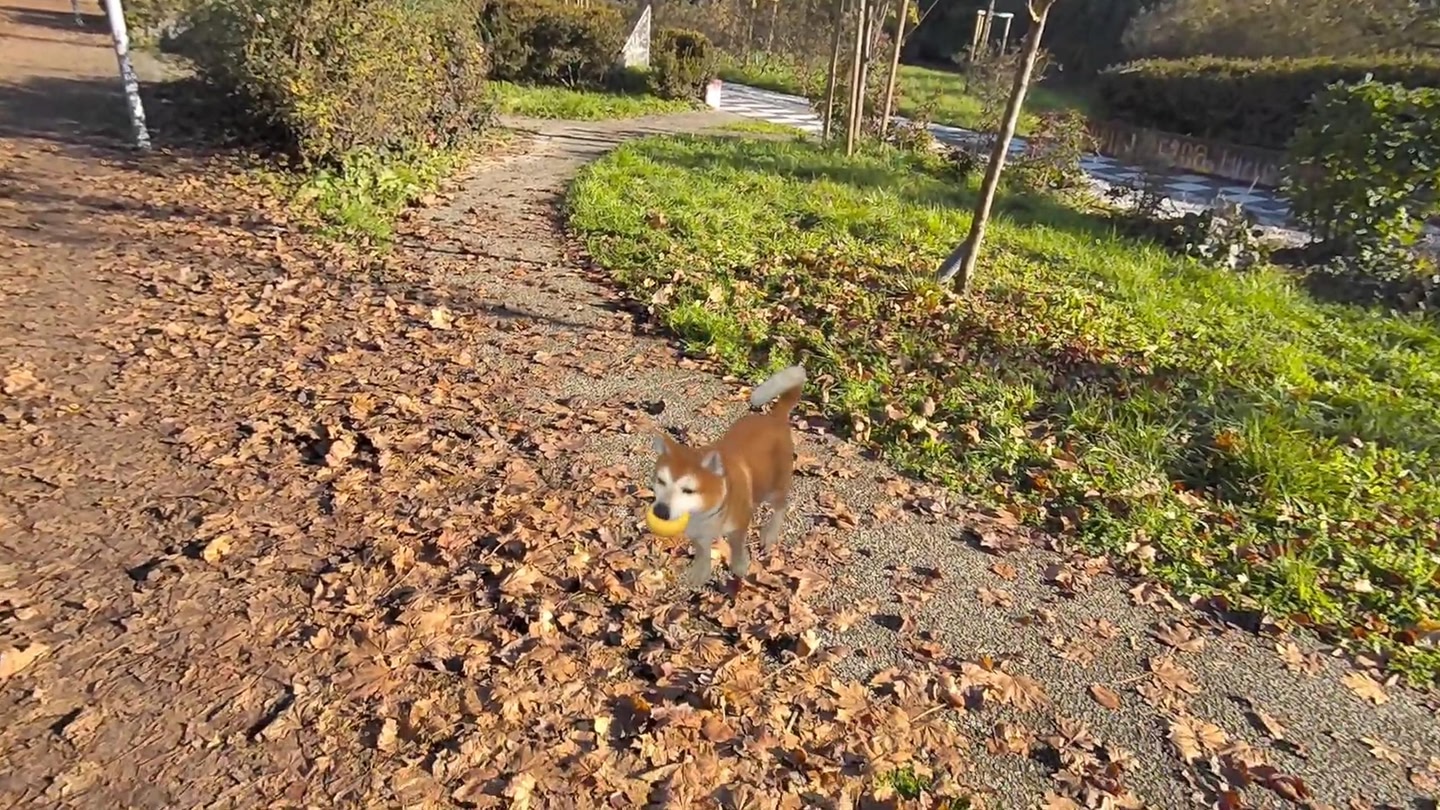 #5. MyPetXR (Meta) 由: Metagate Studio