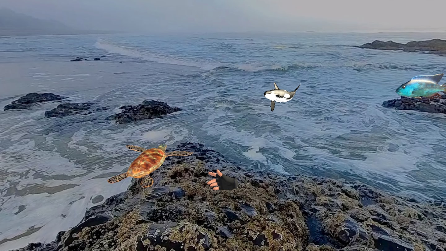 #3. ZOSU Zoo (Meta) 由: ZOSU