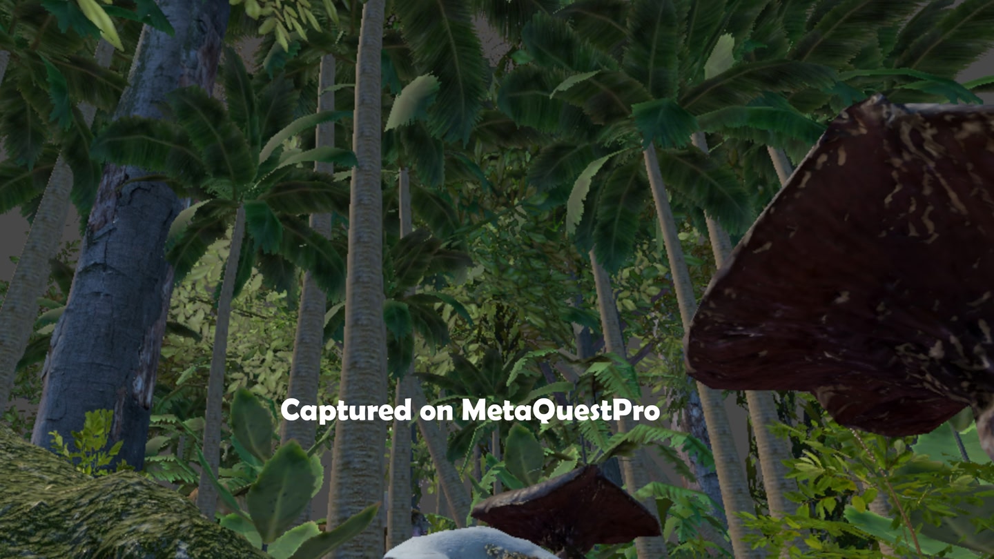 #6. ZOSU Zoo (Meta) 由: ZOSU