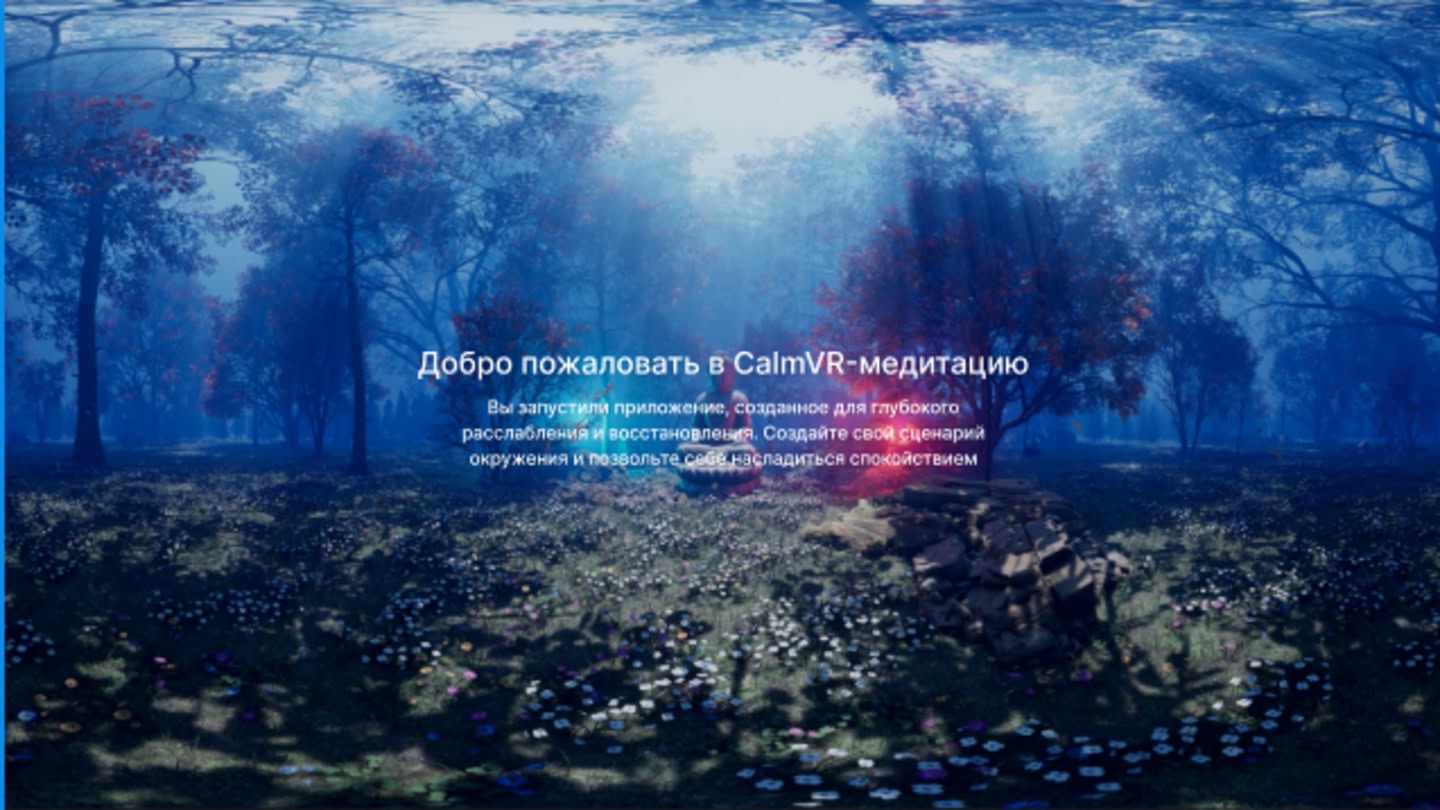 #2. CalmVR (Meta) بواسطة: Reality of future