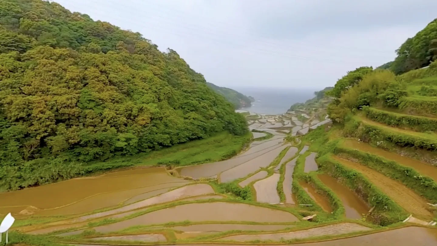 #6. QuixPlayer (Meta) Ved: NeoRealX